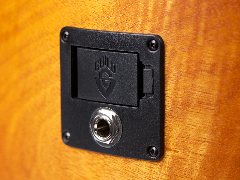 Guild d-240E limited flamed mahogany