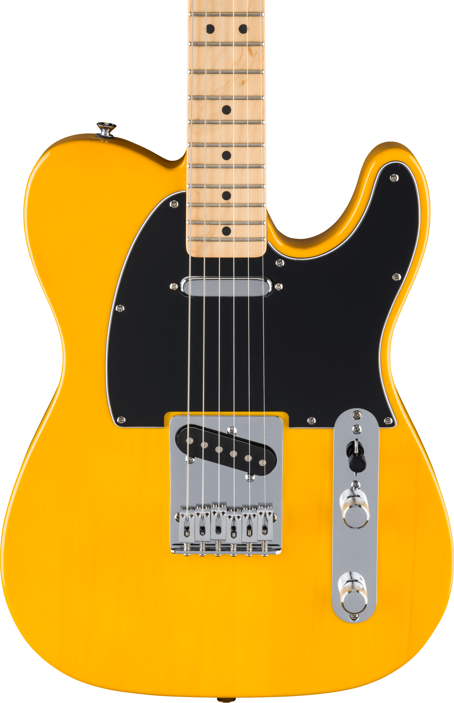 Fender® Standard Telecaster®, Maple Fingerboard, Black Pickguard, Butterscotch Blonde