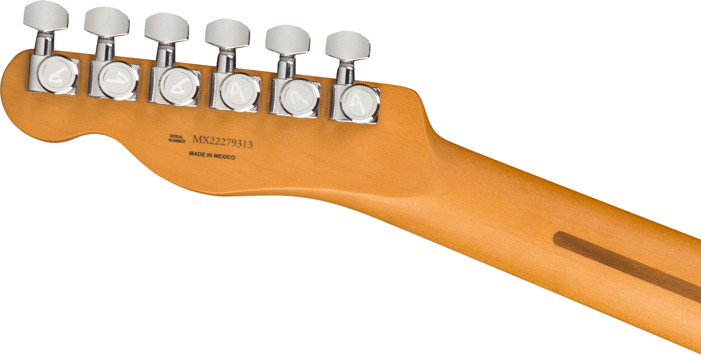 Fender® Player Plus Nashville Telecaster®, Pau Ferro Fingerboard, Sienna Sunburst