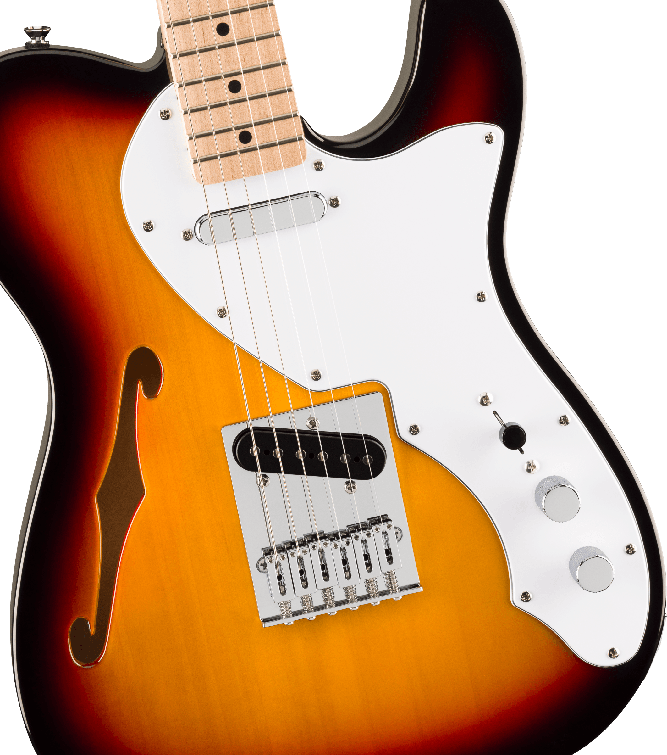 Squier® Affinity Series™ Telecaster® Thinline, Maple Fingerboard, White Pickguard, 3-Color Sunburst