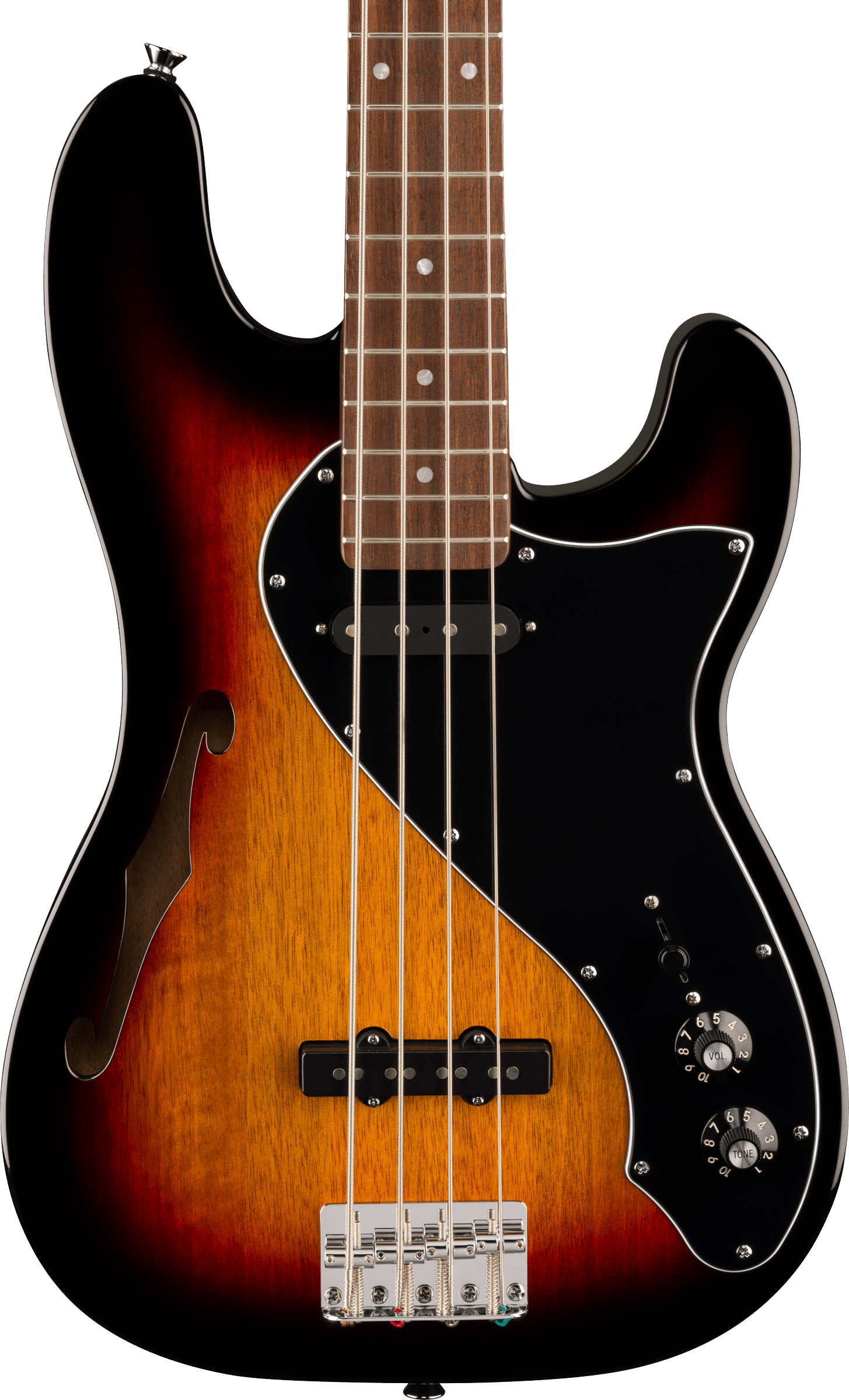 Squier® Paranormal Precision Bass® Thinline SJ, Laurel Fingerboard, Black Pickguard, 3-Color Sunburst