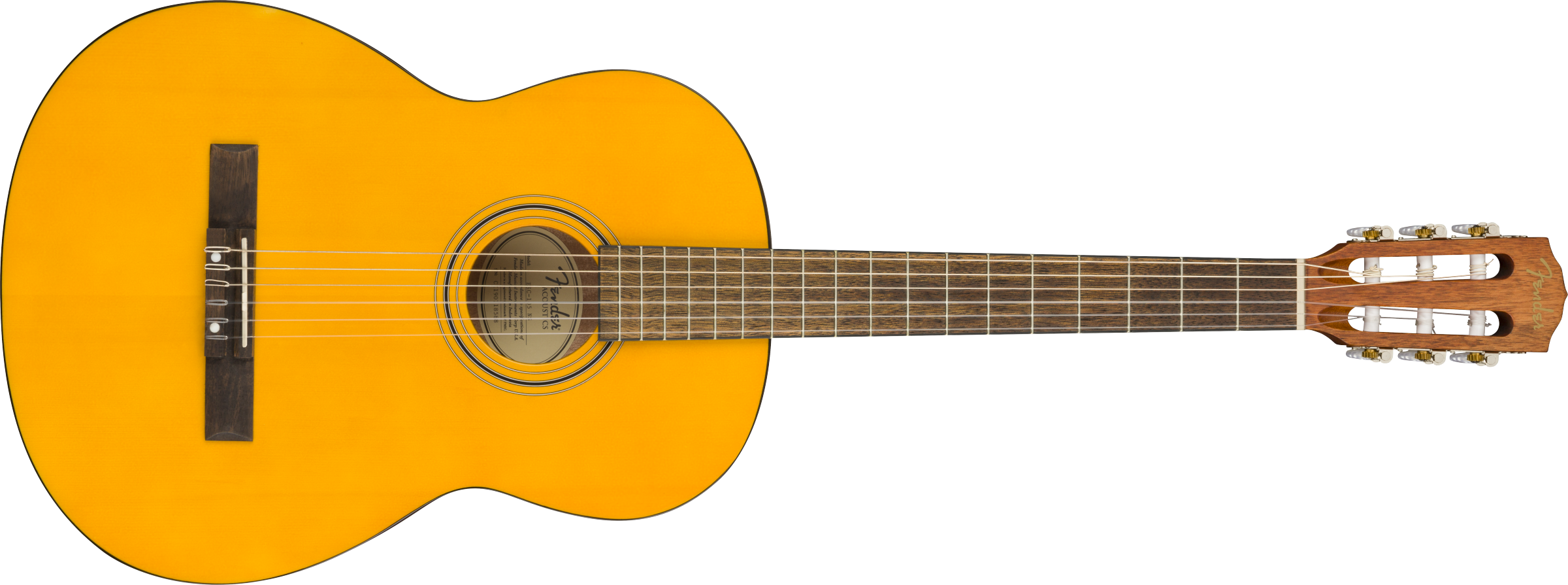 Fender® ESC105 Educational Series, WN