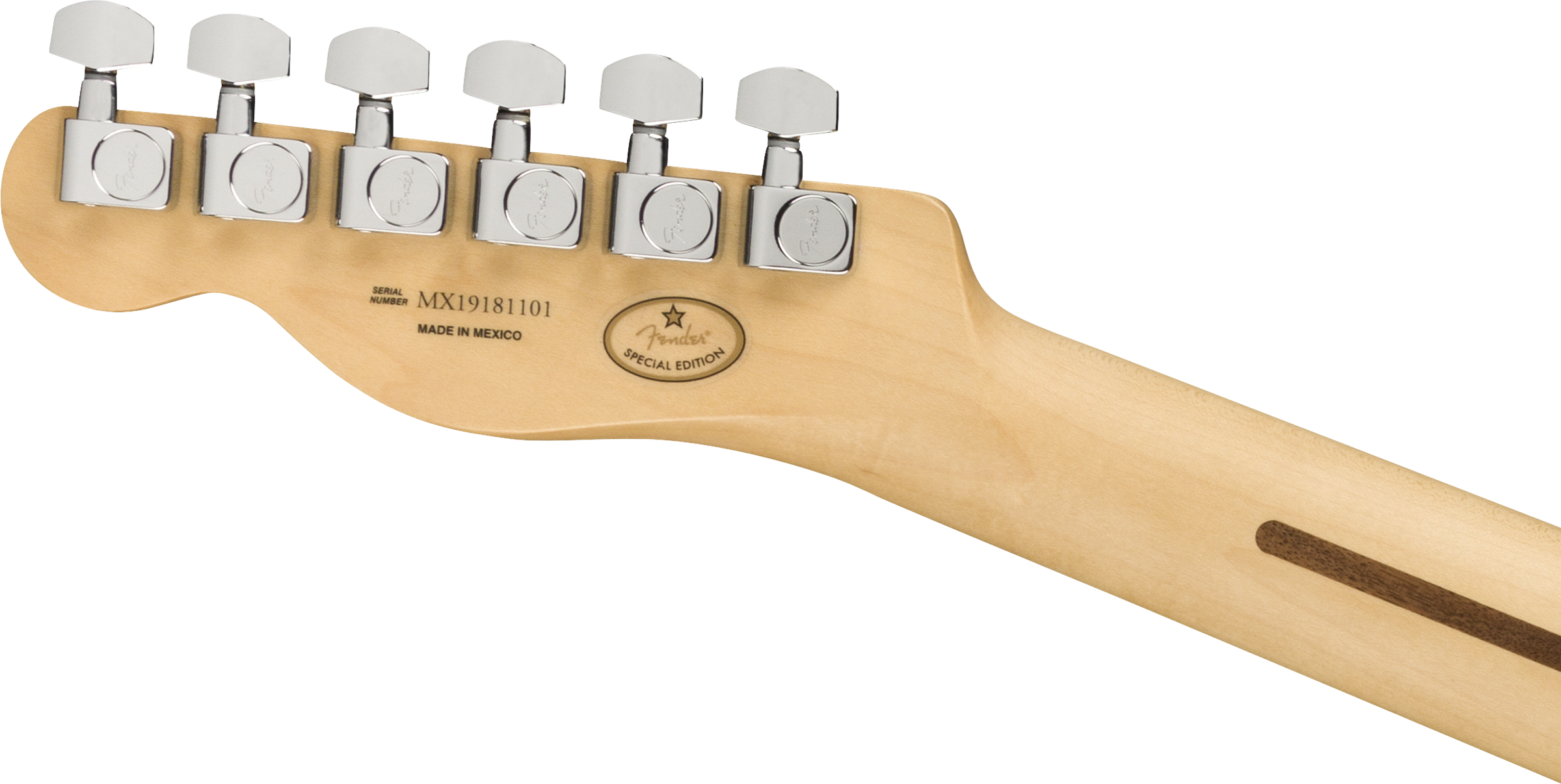 Fender® Limited Edition Player Telecaster® Plus Top, Maple Fingerboard, Blue Burst