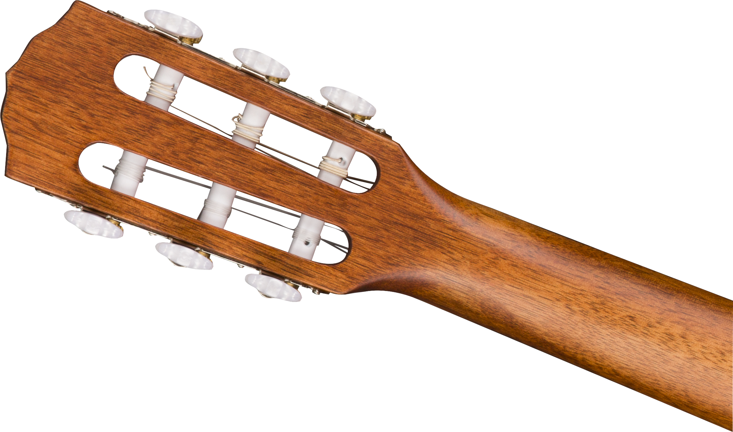 Fender® ESC105 Educational Series, WN