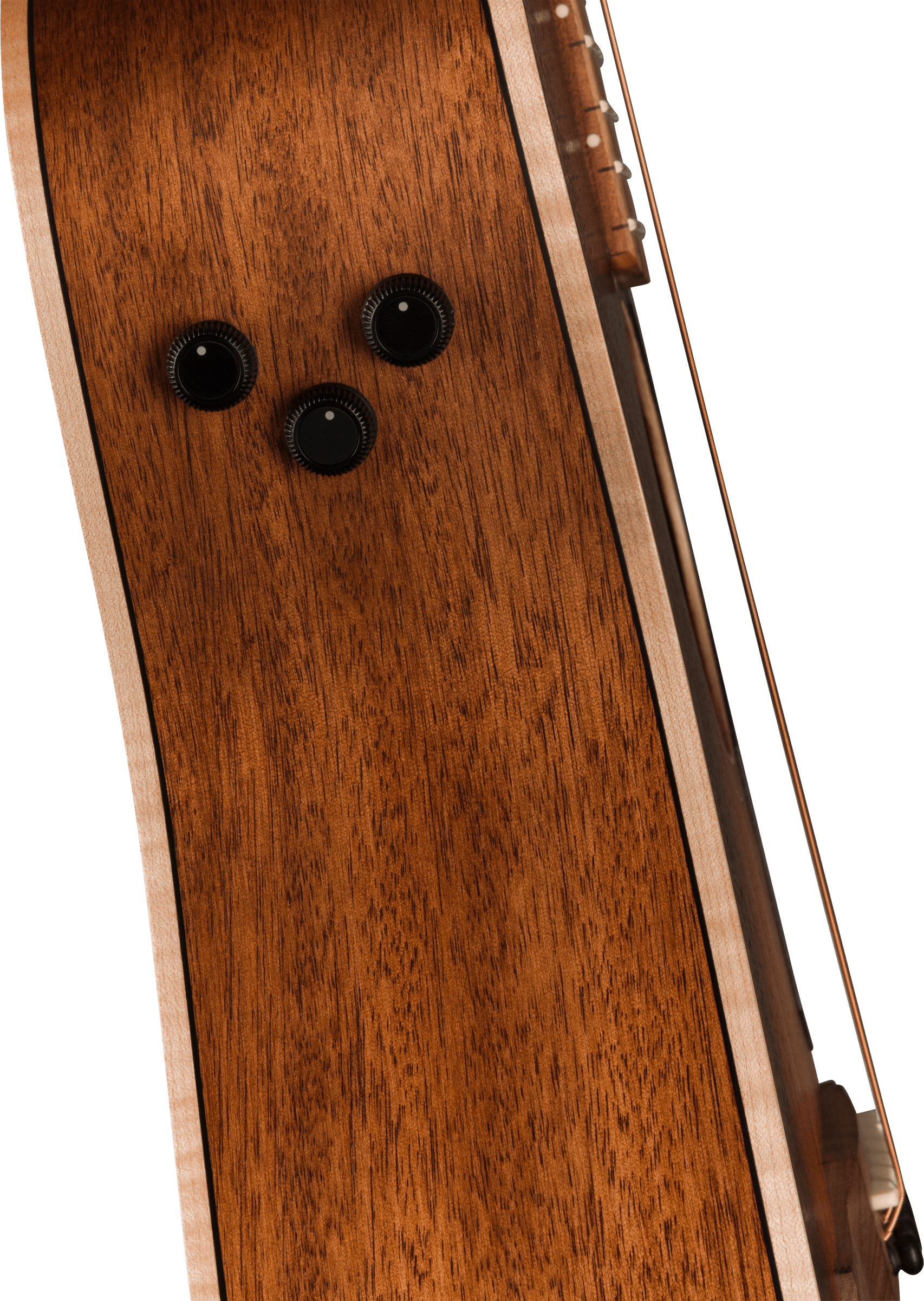 Fender® Malibu Special, Pau Ferro Fingerboard, Black Pickguard, Honey Burst
