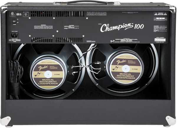 Fender® Champion™ 100