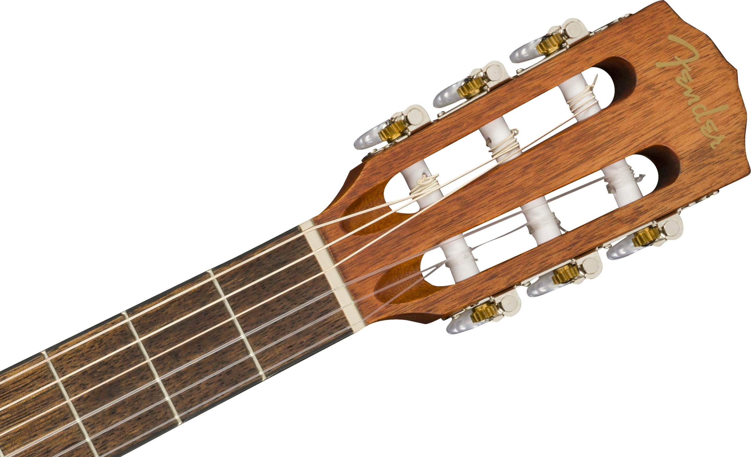 Fender® ESC105 Educational Series, WN