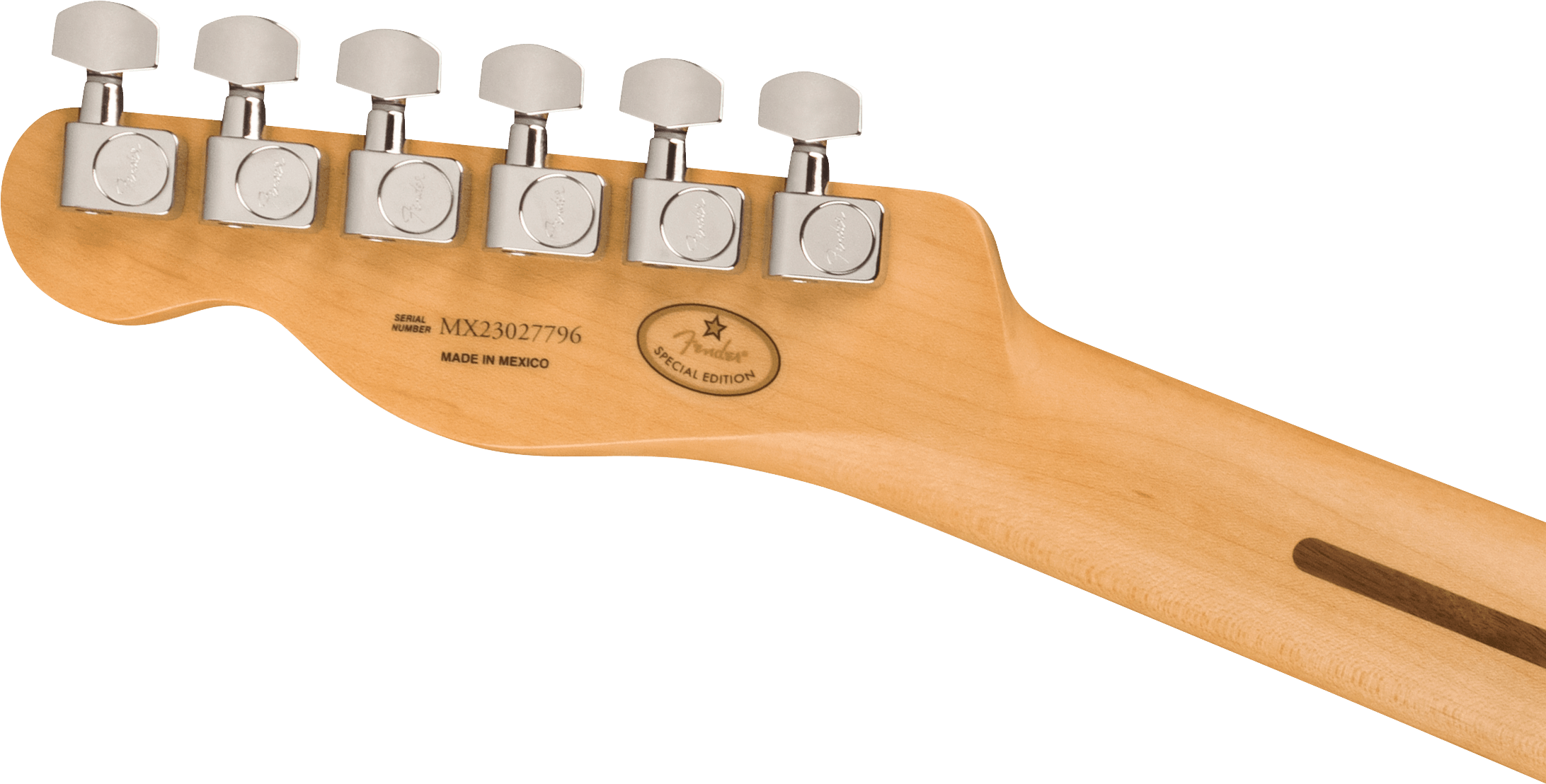Fender® Limited Edition Player Telecaster®, Ebony Fingerboard, Oxblood